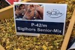 Siglhors Senior Mix